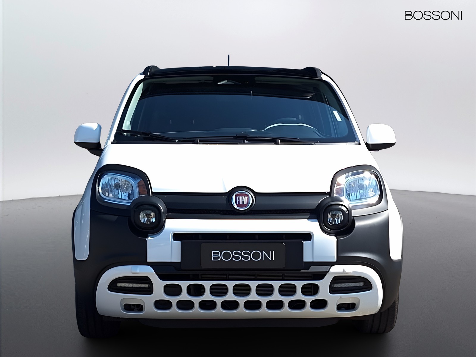 2 - Fiat Pandina cross 1.0 firefly hybrid 65cv cross s&s