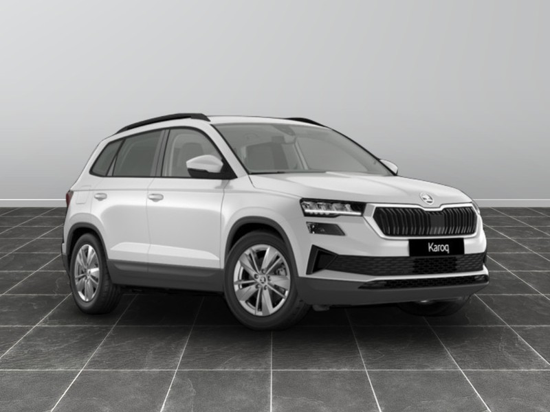 1 - Skoda Karoq 2.0 tdi evo scr 150cv executive dsg