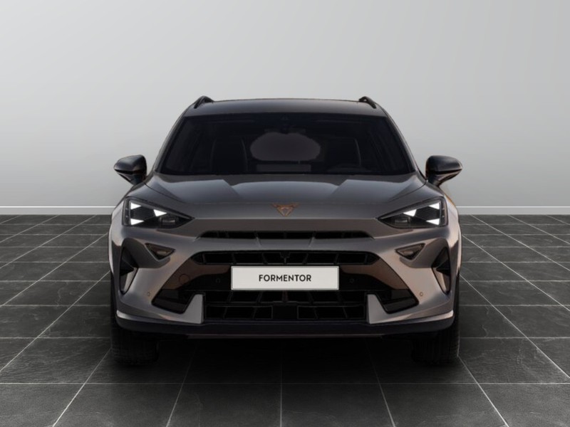 1 - Cupra Formentor 2.0 tdi 150cv dsg