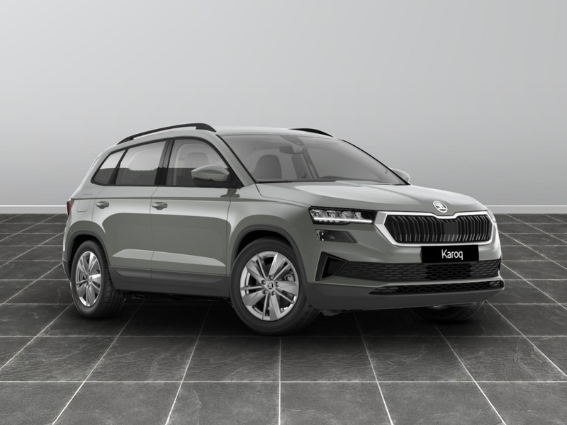 1 - Skoda Karoq 2.0 tdi evo scr 150cv executive dsg