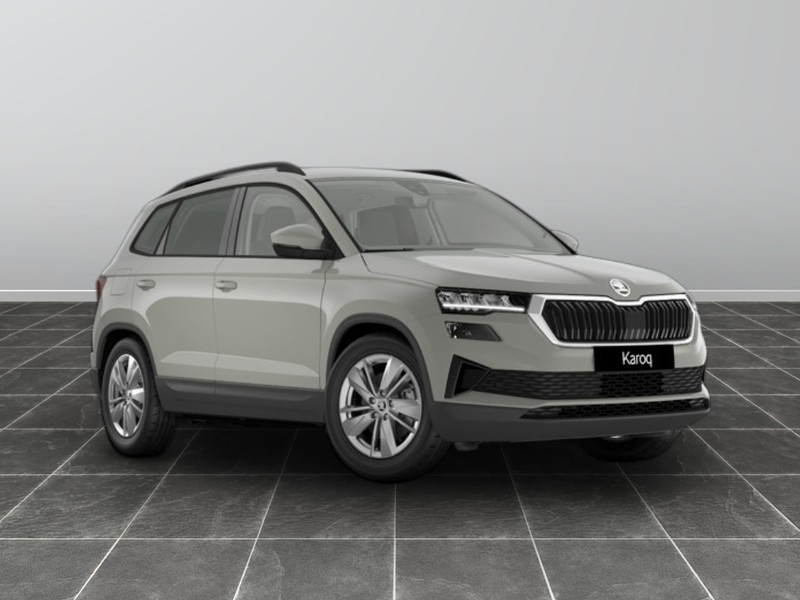 1 - Skoda Karoq 2.0 tdi evo scr 115cv executive
