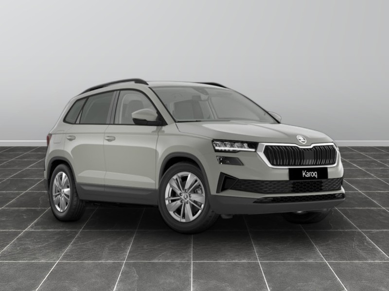 1 - Skoda Karoq 2.0 tdi evo scr 150cv executive 4x4 dsg