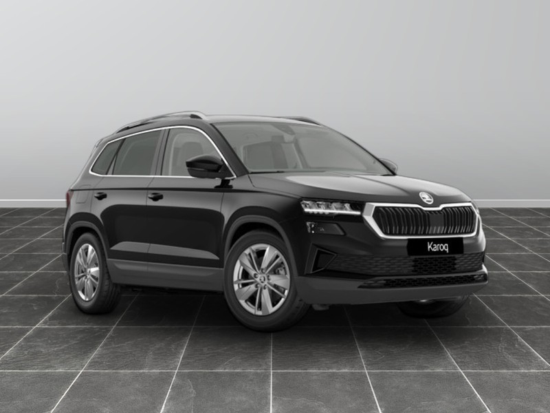 1 - Skoda Karoq 2.0 tdi evo scr 115cv executive
