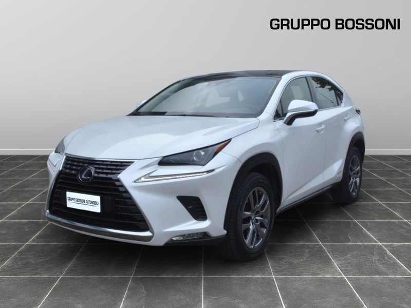 1 - Lexus NX 300 2.5 hybrid luxury 4wd cvt
