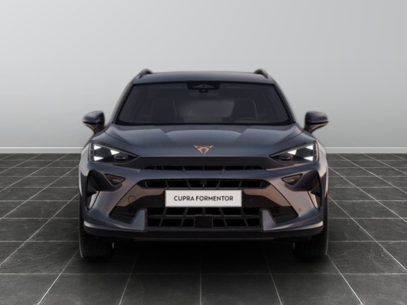 1 - Cupra Formentor 2.0 tdi 150cv dsg