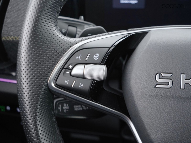 25 - Skoda Kodiaq 1.5 tsi m-hev 150cv executive dsg 7p.ti