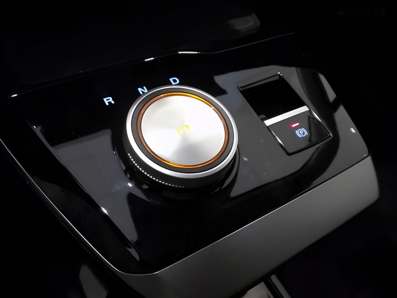 13 - Mg MG4 standard49