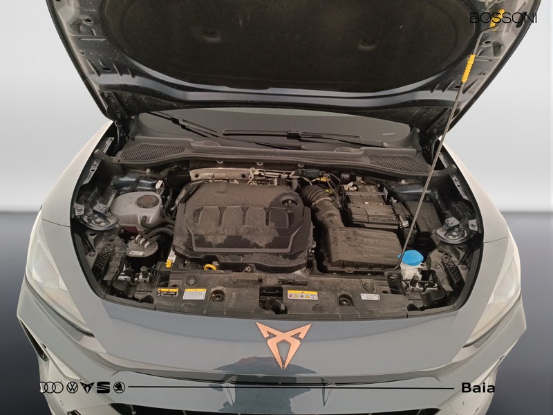 31 - Cupra Formentor 2.0 tdi 150cv dsg