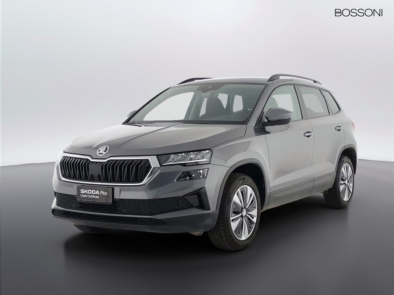 1 - Skoda Karoq 2.0 tdi evo scr 115cv executive