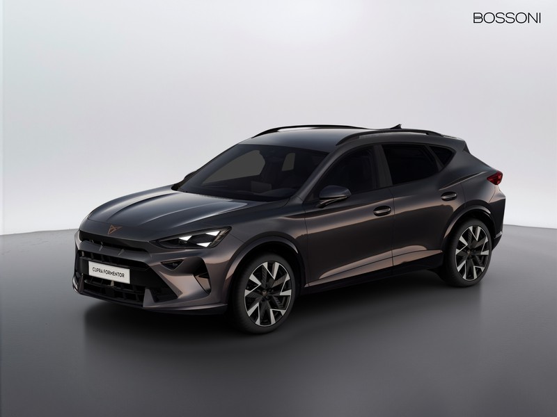 1 - Cupra Formentor 2.0 tdi 150cv dsg