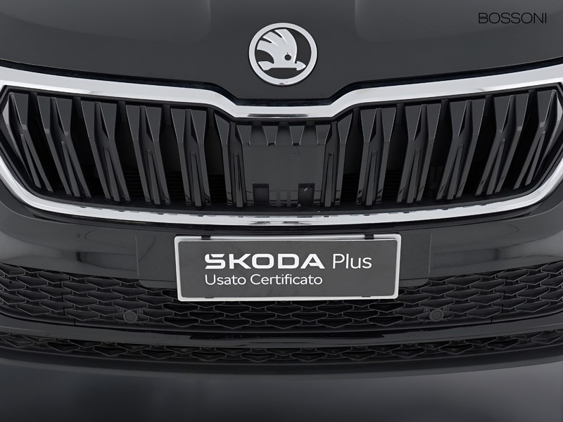 13 - Skoda Karoq 2.0 tdi evo scr 150cv executive dsg
