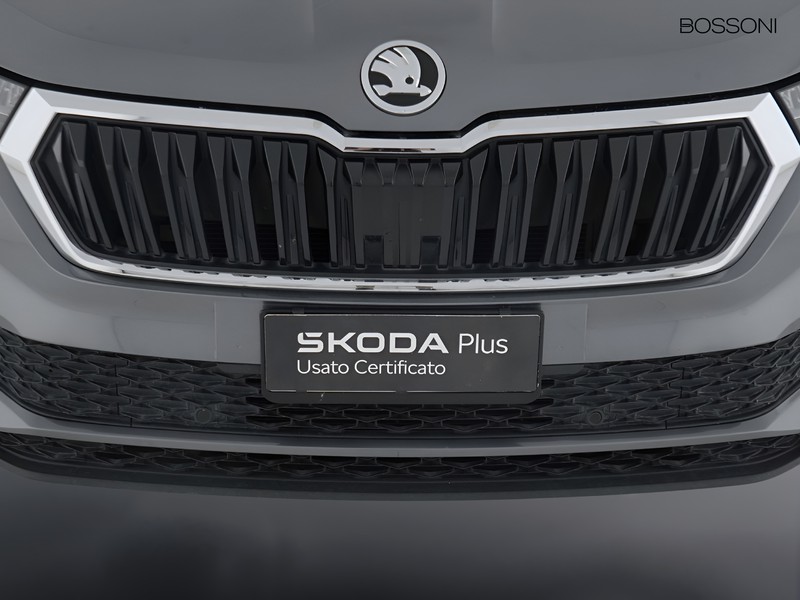 13 - Skoda Karoq 2.0 tdi evo scr 115cv executive