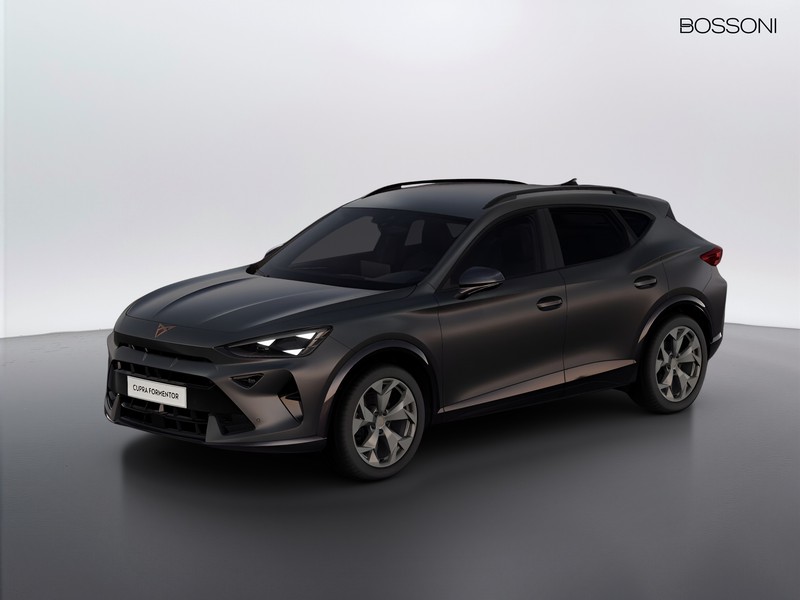 1 - Cupra Formentor 2.0 tdi 150cv dsg