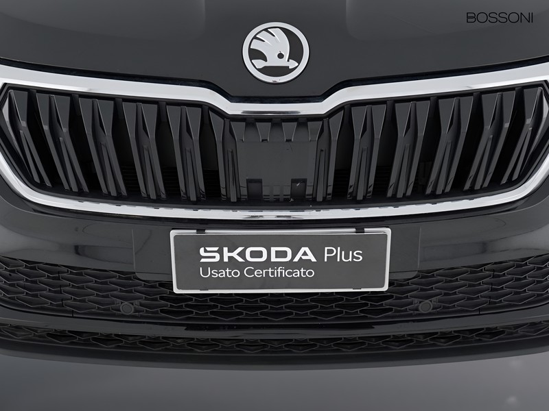 13 - Skoda Karoq 2.0 tdi evo scr 150cv executive dsg