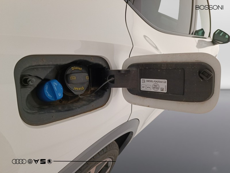 31 - CUPRA Formentor 2.0 tdi 150cv