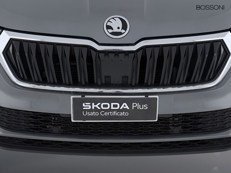 13 - Skoda Karoq 2.0 tdi evo scr 150cv executive dsg