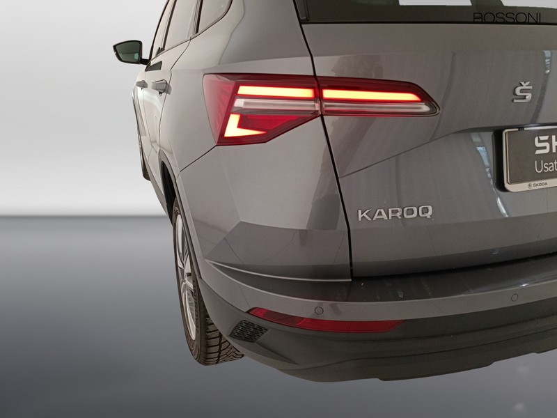 25 - Skoda Karoq 2.0 tdi evo scr 115cv executive