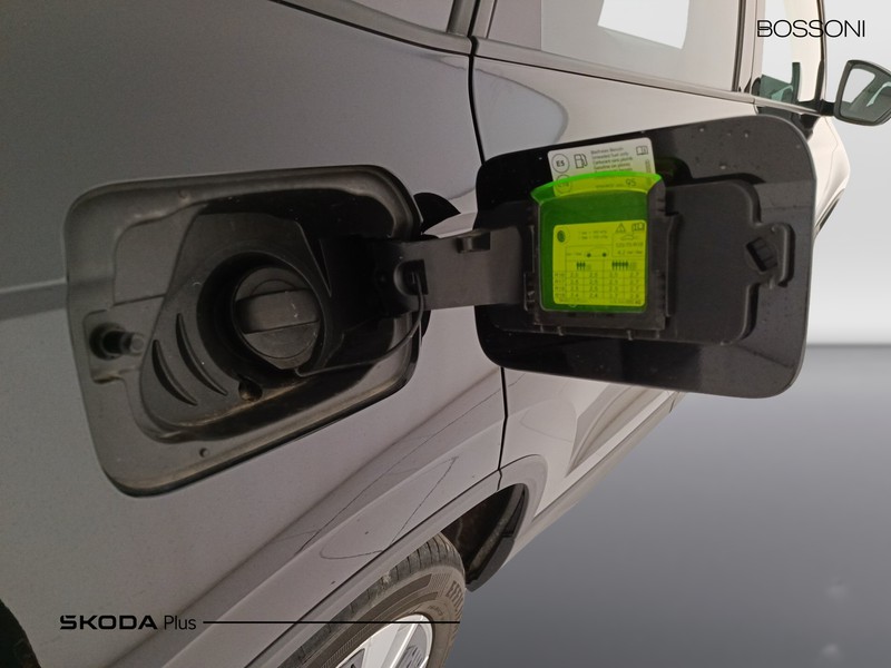 31 - Skoda Karoq 1.5 tsi act ambition dsg