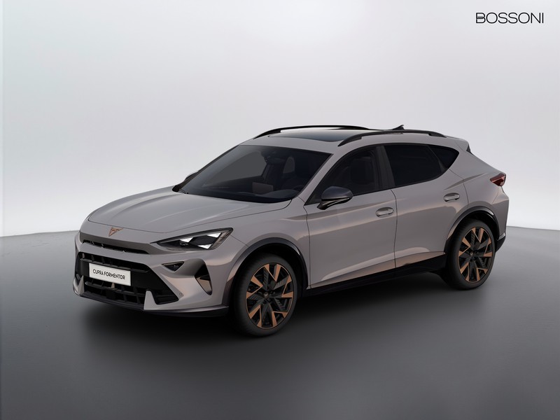 1 - CUPRA Formentor 2.0 tdi 150cv dsg