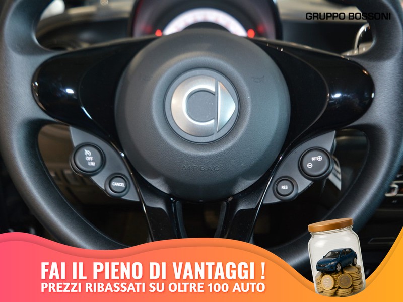 31 - Smart Fortwo 22kw eq pure