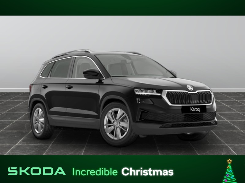 1 - Skoda Karoq 2.0 tdi evo scr 115cv executive