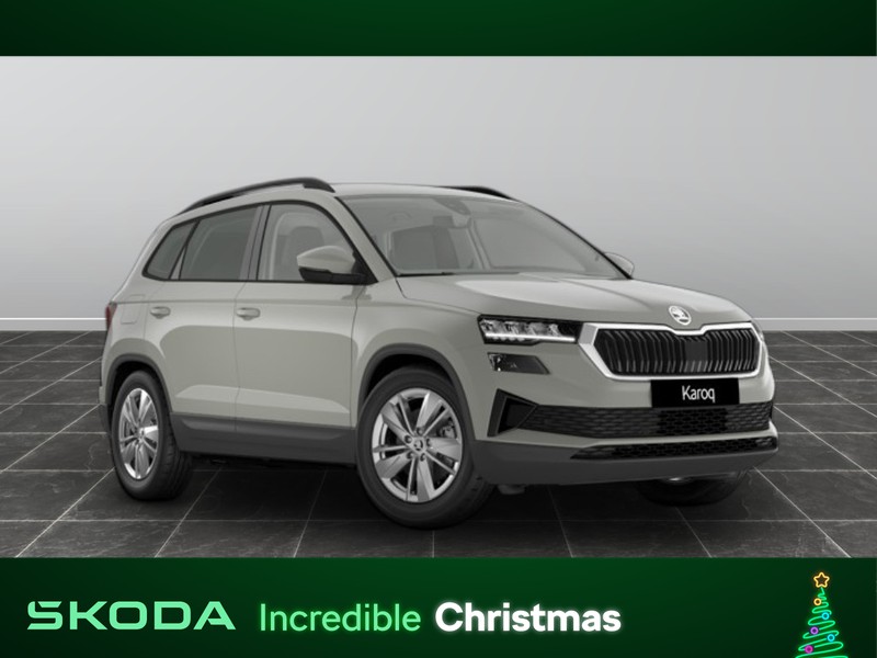 1 - Skoda Karoq 2.0 tdi evo scr 115cv executive