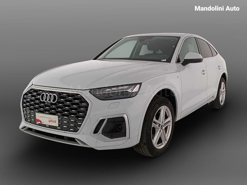 mandolini auto