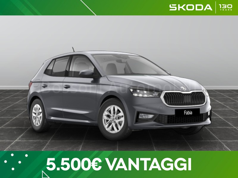 1 - Skoda Fabia 1.0 tsi evo 95cv selection