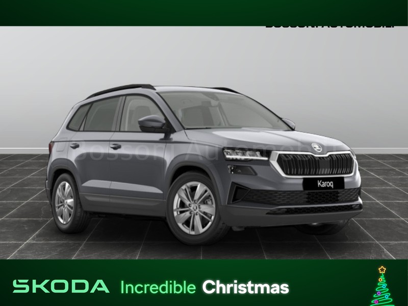 1 - Skoda Karoq 2.0 tdi evo scr 150cv executive dsg