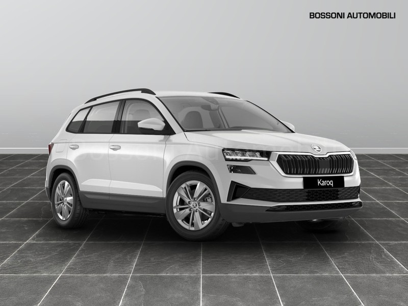 1 - Skoda Karoq 2.0 tdi evo scr 150cv executive dsg