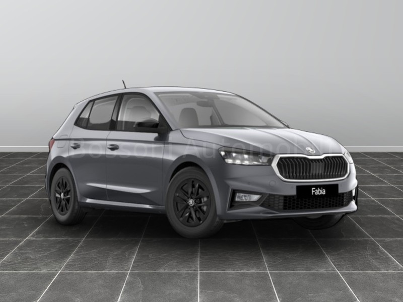 1 - Skoda Fabia 1.0 mpi evo 80cv young edition