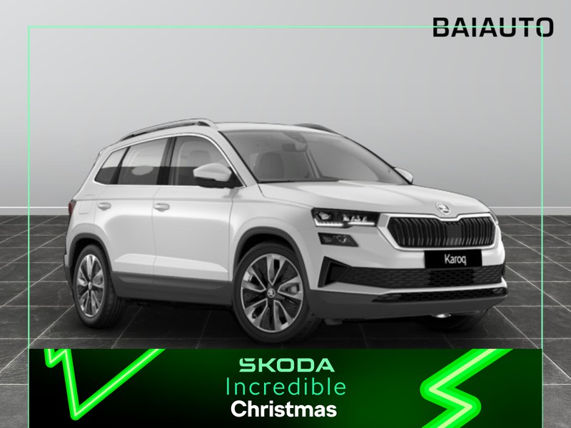 1 - Skoda Karoq 2.0 tdi evo scr 150cv selection dsg