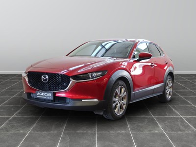 Mazda CX-30 2.0 skyactiv-g m hybrid 150cv evolve 2wd 6mt