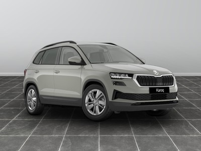 Skoda Karoq 2.0 tdi evo scr 115cv executive