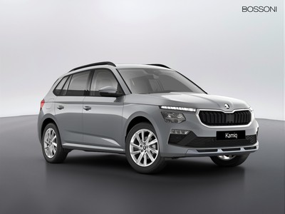 Skoda Kamiq 1.0 tsi 115cv your way