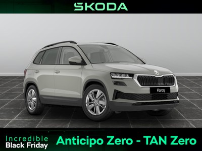 Skoda Karoq 2.0 tdi evo scr 115cv executive