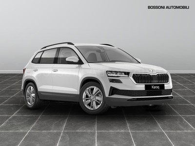 Skoda Karoq 2.0 tdi evo scr 150cv executive dsg