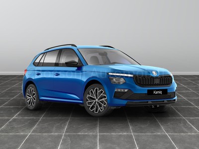 Skoda Kamiq 1.0 tsi 115cv black dots