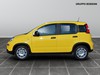 Fiat Panda 1.0 firefly hybrid 70cv s&s