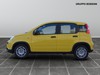 Fiat Panda 1.0 firefly hybrid 70cv s&s