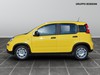 Fiat Panda 1.0 firefly hybrid 70cv s&s