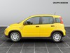 Fiat Panda 1.0 firefly hybrid 70cv s&s