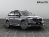 Skoda Kamiq 1.0 tsi 115cv selection