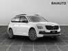 Skoda Kamiq 1.0 tsi 95cv selection