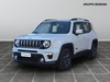 Jeep Renegade 1.0 t3 business 2wd