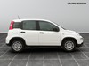 Fiat Panda 1.0 firefly hybrid 70cv s&s