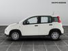 Fiat Panda 1.0 firefly hybrid 70cv s&s 5p.ti