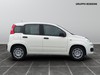 Fiat Panda 1.0 firefly hybrid 70cv s&s 5p.ti