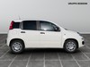 Fiat Professional Panda van 1.0 hybrid 70cv 2p.ti serie 9