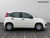 Fiat Panda 1.0 firefly hybrid 70cv s&s
